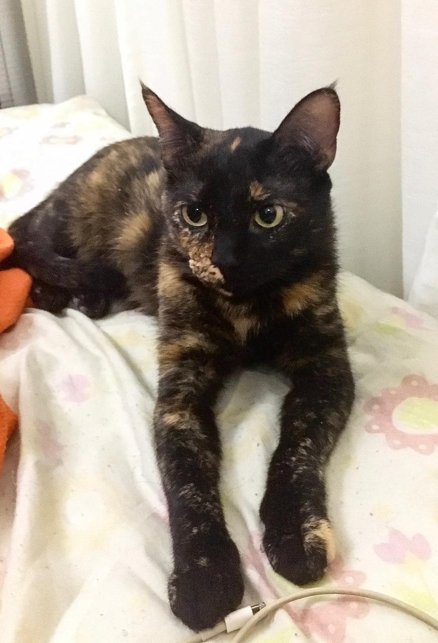 Ingrid Catalina Usuga